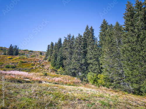 Panorama of Vitosha Mountain, Bulgaria