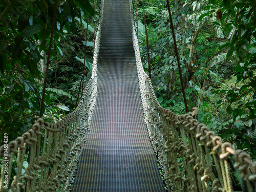 Bridge Rainforest Suspension bridge, Crossing the river, ferriage in the woods photo