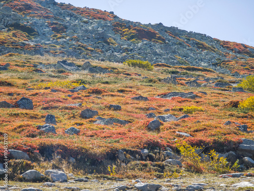 Panorama of Vitosha Mountain, Bulgaria photo