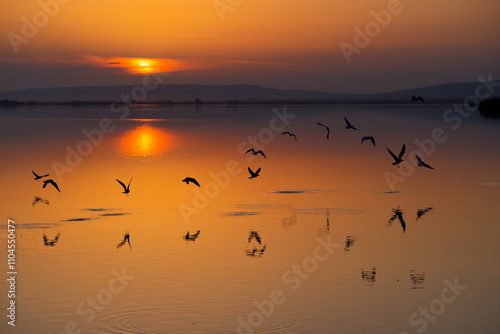 Coucher de soleil sur les étangs de Palavas les Flots à coté de la Montpellier sur les bords de la méditerranée avec des goéland jouant sur une eau limpide et calme  photo