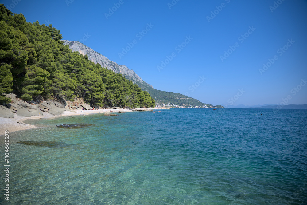 Coastal beach with clear turquoise water, pine trees, and mountains in the background. Coastal beach with clear turquoise water, pine trees, and mountains in the background.