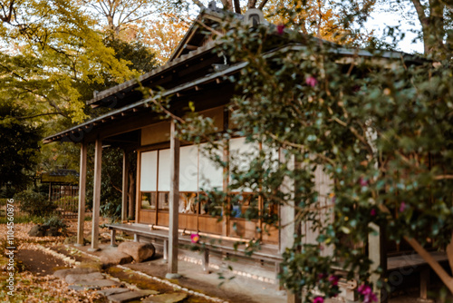 秋の日本茶屋