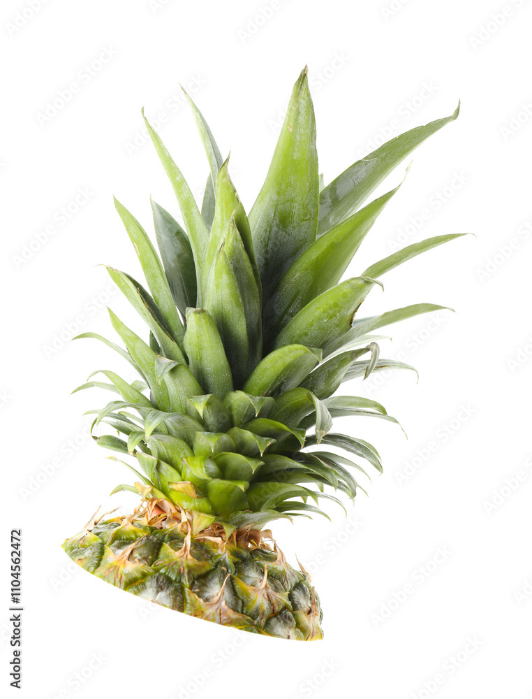 Fototapeta premium Crown of ripe pineapple isolated on white