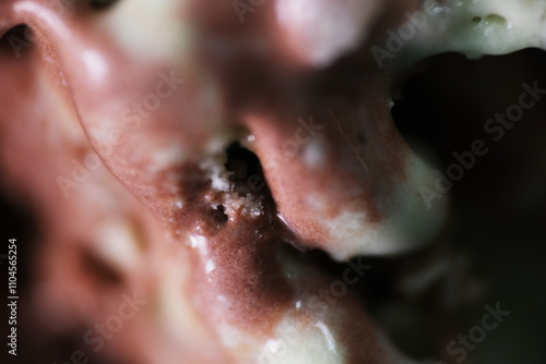 Macro shot of expired or freezer burn chocolate mint ice cream