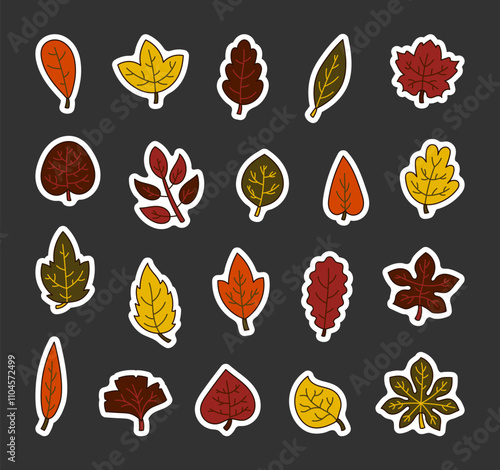 Set of decorative autumn leaf outline illustrations with botanical elements for creative designs in seasonal floristry and natural organic compositions