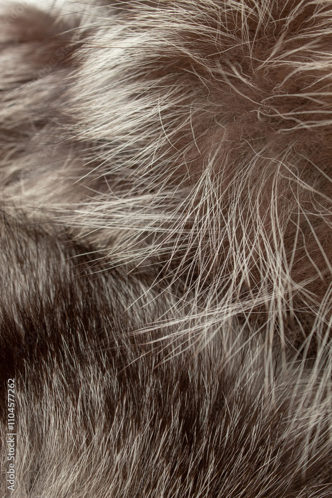 Gray and black natural fur. Textured background. Slow fashion Gray and black natural fur. Textured background. Slow fashion