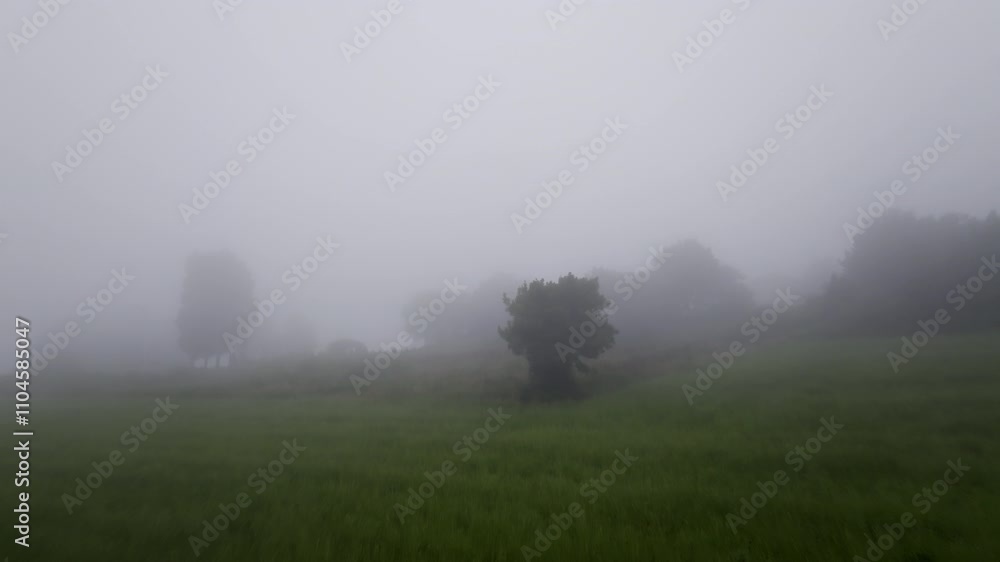 Fog enveloping a landscape, gradually obscuring trees and creating a serene, atmospheric scene in nature Fog enveloping a landscape, gradually obscuring trees and creating a serene, atmospheric scene in nature