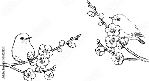 梅の花とメジロの線画