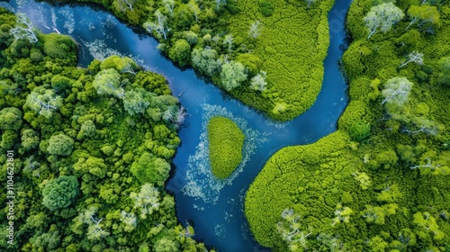 Body of Water: A natural feature like rivers, lakes, or oceans, crucial for sustaining ecosystems and serving as a source of water and life for diverse species.
 photo