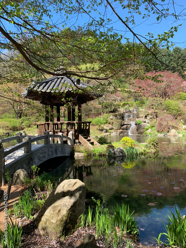 The Garden of Morning Calm