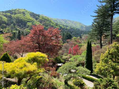 The Garden of Morning Calm