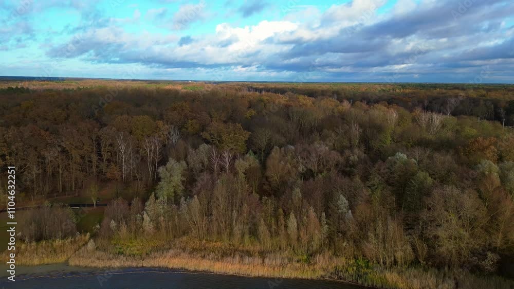 autumn forest meeting calm lake on sunny day. Wonderful aerial view flight drone autumn forest meeting calm lake on sunny day. Wonderful aerial view flight drone