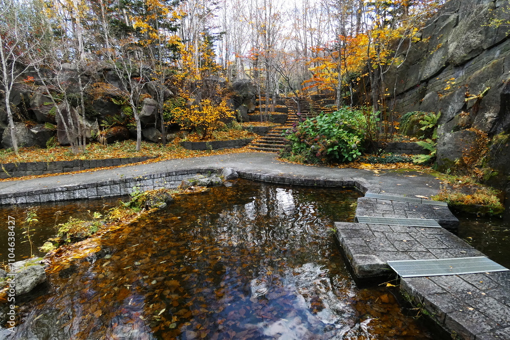 Obraz premium 晩秋の滝野すずらん公園
