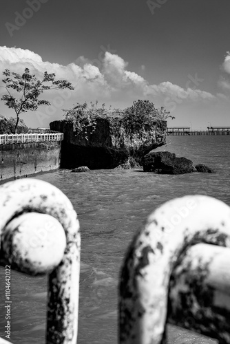 Contemple a Serenidade Amazônica: Macapá em Preto e Branco
Uma obra de arte monocromática que captura a essência da capital amapaense. photo