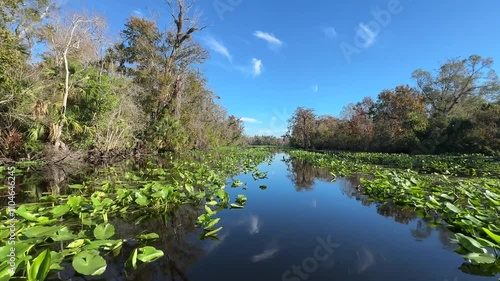 Various angles and shots from a moving boat along the Wekiva River in Longwood, Florida (Seminole County) photo