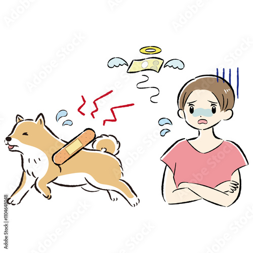 怪我をした犬と心配する飼い主の女性のイラストセット