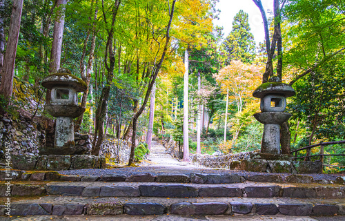京都、栂尾山高山寺の参道
