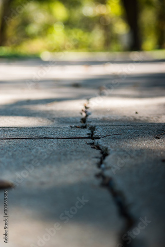 Crack in the sidewalk