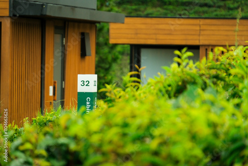 Scenic wooden cabins nestled in lush greenery against a serene mountainous backdrop photo