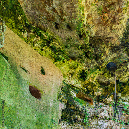 Close-up of a rocky cenote ceiling adorned with vibrant green moss, natural textures, and crevices, showcasing the geological beauty High-quality photo. Ik Kil Cenote, a Natural Pit Yucatan photo