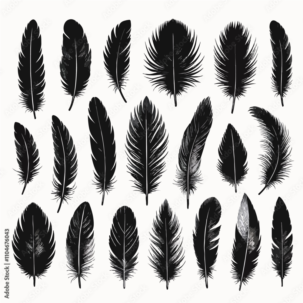 Set of bird feather black silhouettes. Plumelet collection. Vector of black feather, isolated on white background . Set of bird feather black silhouettes. Plumelet collection. Vector of black feather, isolated on white background .