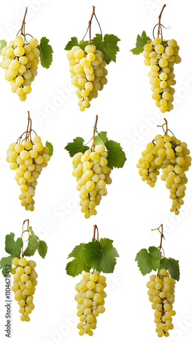 collection of grape isolated on a white background as transparent png