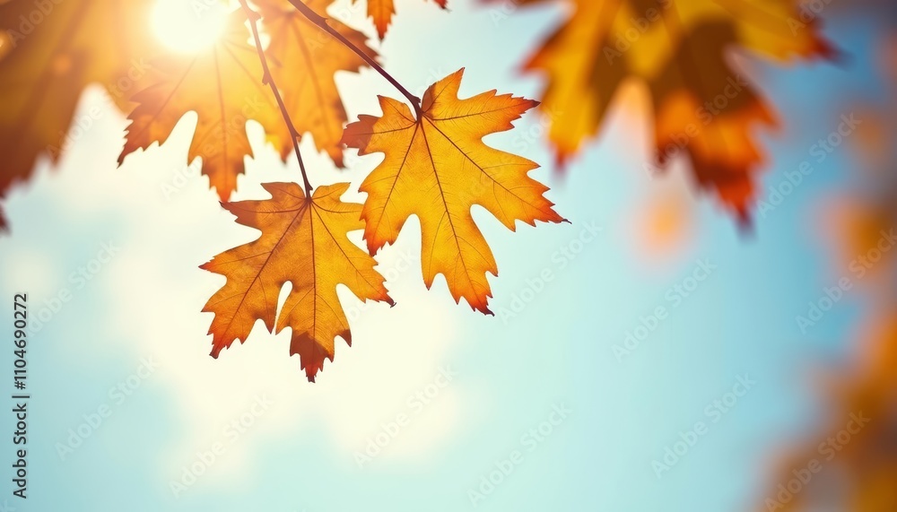 Autumn leaves against blue sky Autumn leaves against blue sky