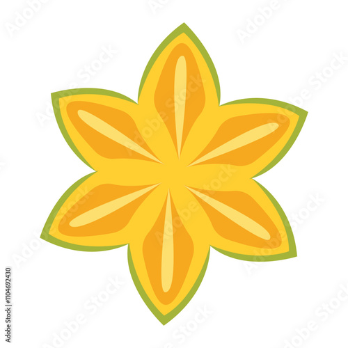 Starfruit Vector Illustration