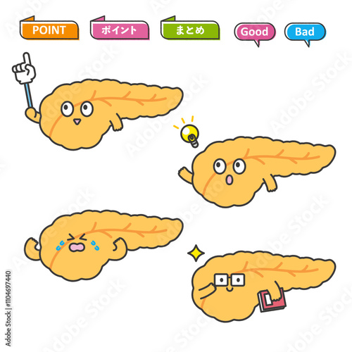 膵臓のキャラクターイラスト