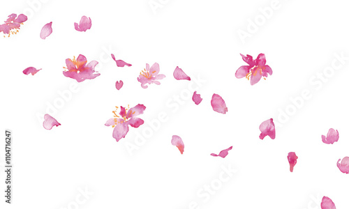水彩画。水彩タッチの桜のベクター背景。桜の和風背景。梅の花の手書きベクターイラスト。高級感のある和風素材。Watercolor painting. Cherry blossoms vector background with watercolor touch. Cherry blossoms Japanese style background. Hand drawn vector illustra