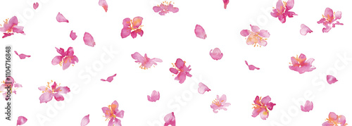 水彩画。水彩タッチの桜のベクター背景。桜の和風背景。梅の花の手書きベクターイラスト。高級感のある和風素材。Watercolor painting. Cherry blossoms vector background with watercolor touch. Cherry blossoms Japanese style background. Hand drawn vector illustra