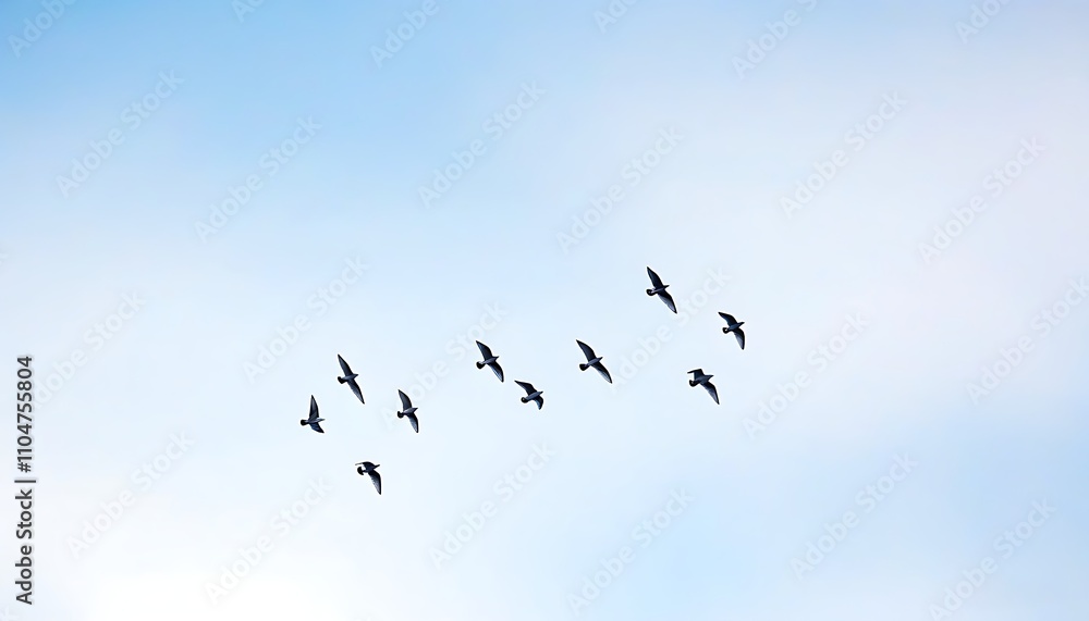 Group birds soaring in the sky creating a dreamy landscape Group birds soaring in the sky creating a dreamy landscape