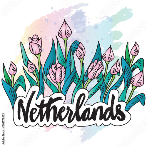 Netherlands hand drawn lettering with tulips.  Vector illustration.