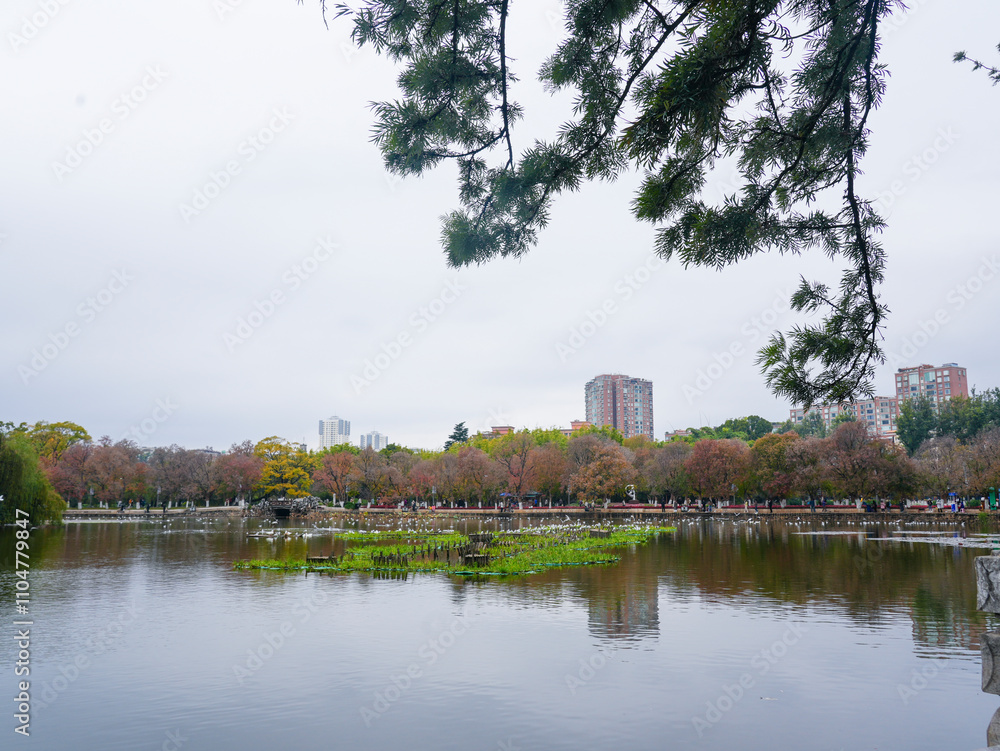 Fototapeta premium Cuihu Park on a cloudy day in winter