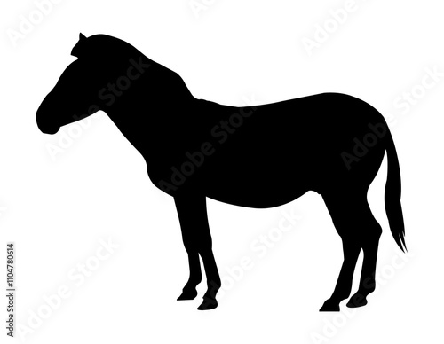 horse