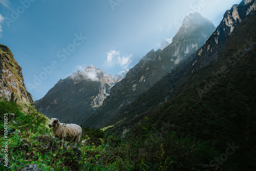 Peaks and valleys of the Himalayas trekking in Pokhara, Nepal