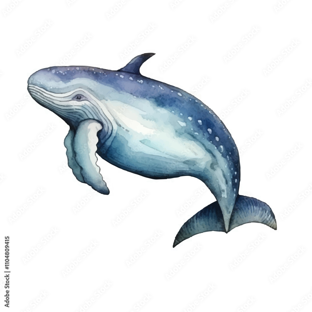 Fototapeta premium watercolor Whale isolated white background