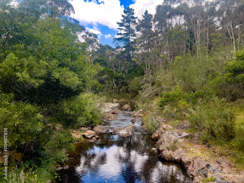 Australian bush stream with beautiful water