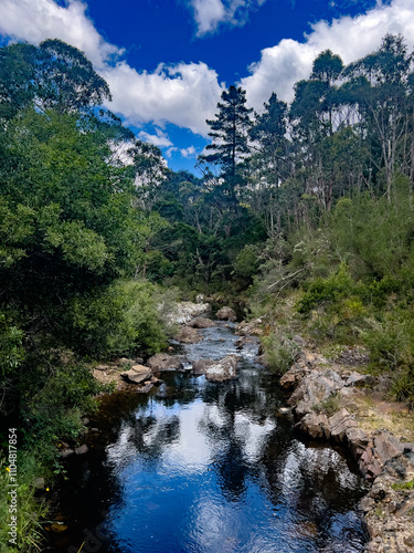 Stream running through Australina Country side.