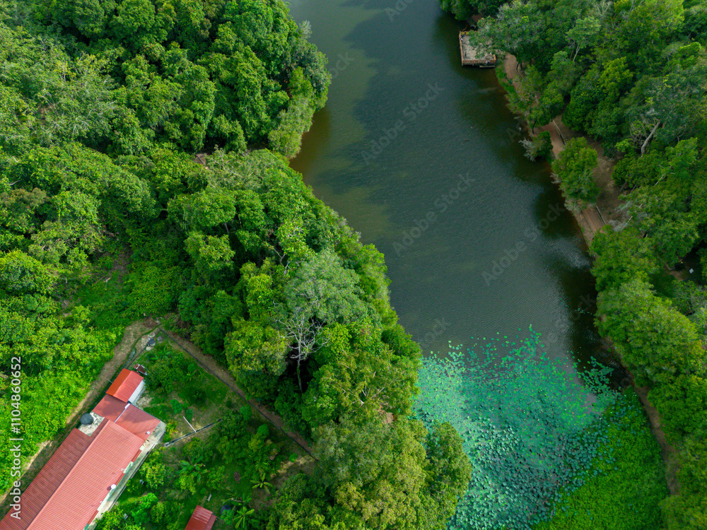 Aerial drone view of Chatin Lake or Tasik Chatin surrounded by greenery trees at Mentakab, Pahang, Malaysia. Aerial drone view of Chatin Lake or Tasik Chatin surrounded by greenery trees at Mentakab, Pahang, Malaysia.