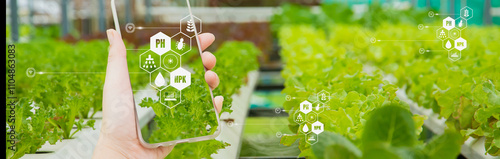 Farmers hand hold smartphone monitor and track agricultural produce through modern wireless networks with 5G technology in farms, concept Agriculture technology for development with internet of things