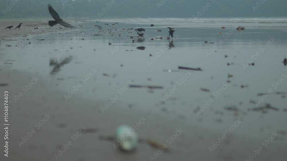 Discarded trash and crows scattered along a misty beach on an overcast day with a somber mood Discarded trash and crows scattered along a misty beach on an overcast day with a somber mood
