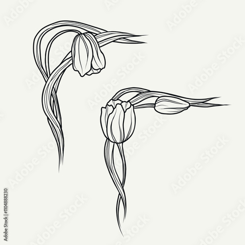 Hand drawn decorative art nouveau borders. Line art ornamental corners