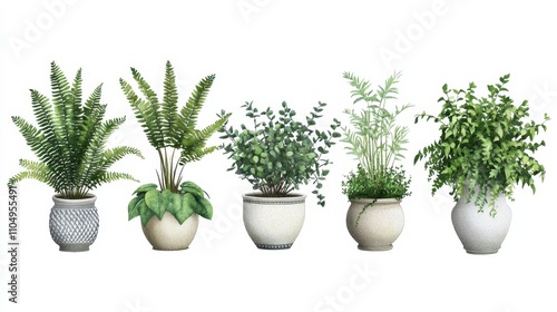 Five potted plants display a variety of greenery