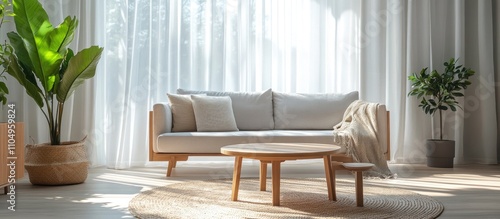 Minimalist living room interior with a white sofa, wooden coffee table, a throw blanket, and two plants in pots.