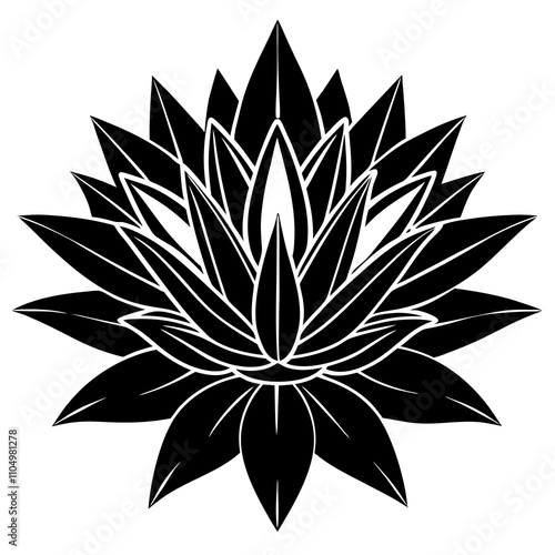 black and white flower