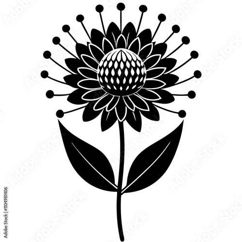 black and white flower