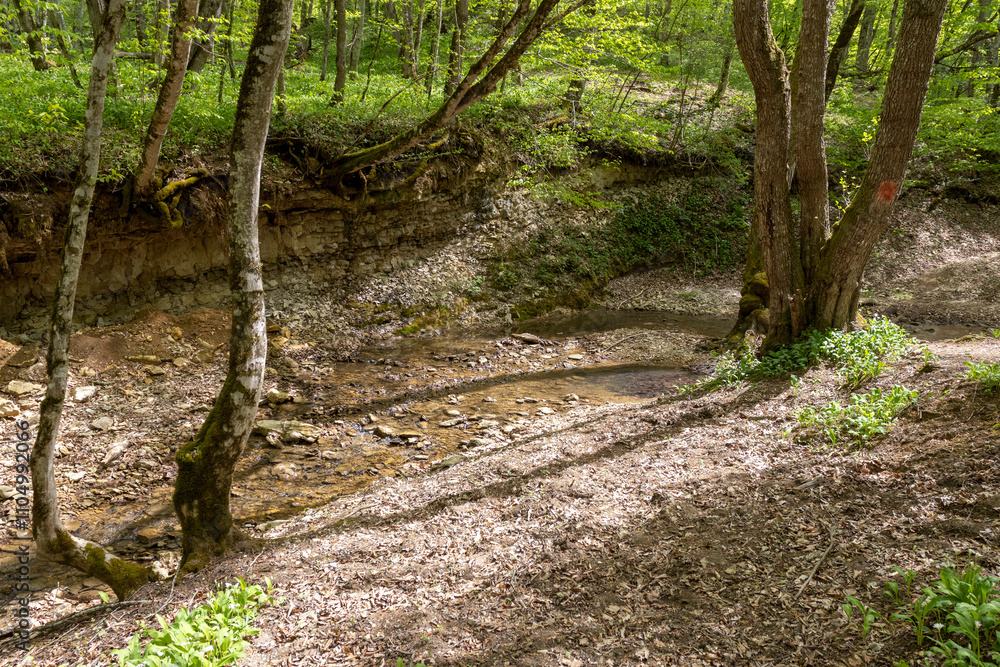 nature park , a walk along the riverbed with an overview of the stone bottom and banks nature park , a walk along the riverbed with an overview of the stone bottom and banks