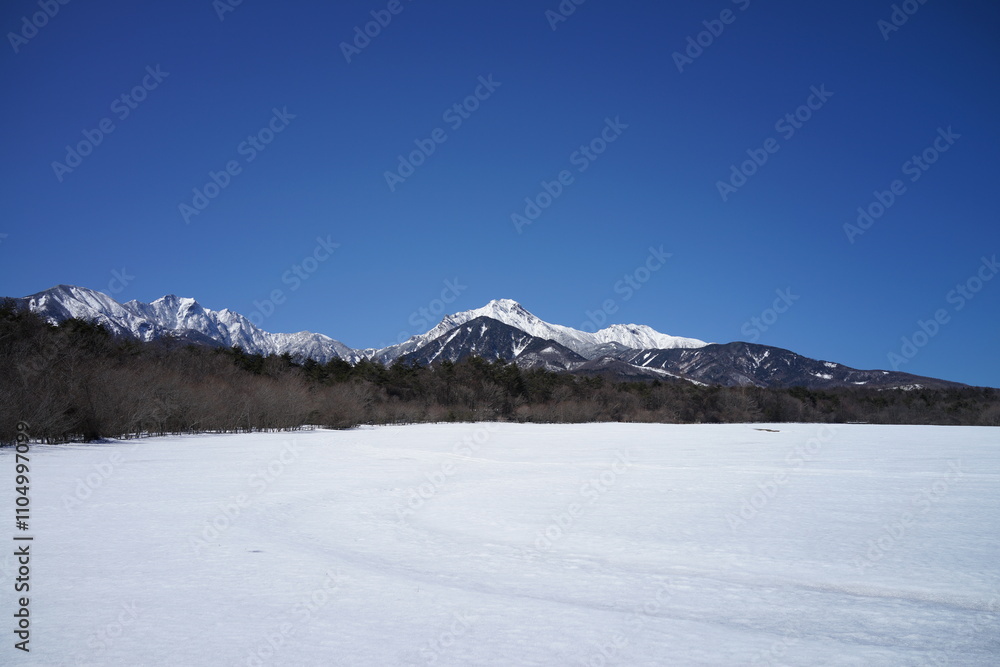 Fototapeta premium 雪原と雪景色と青空
