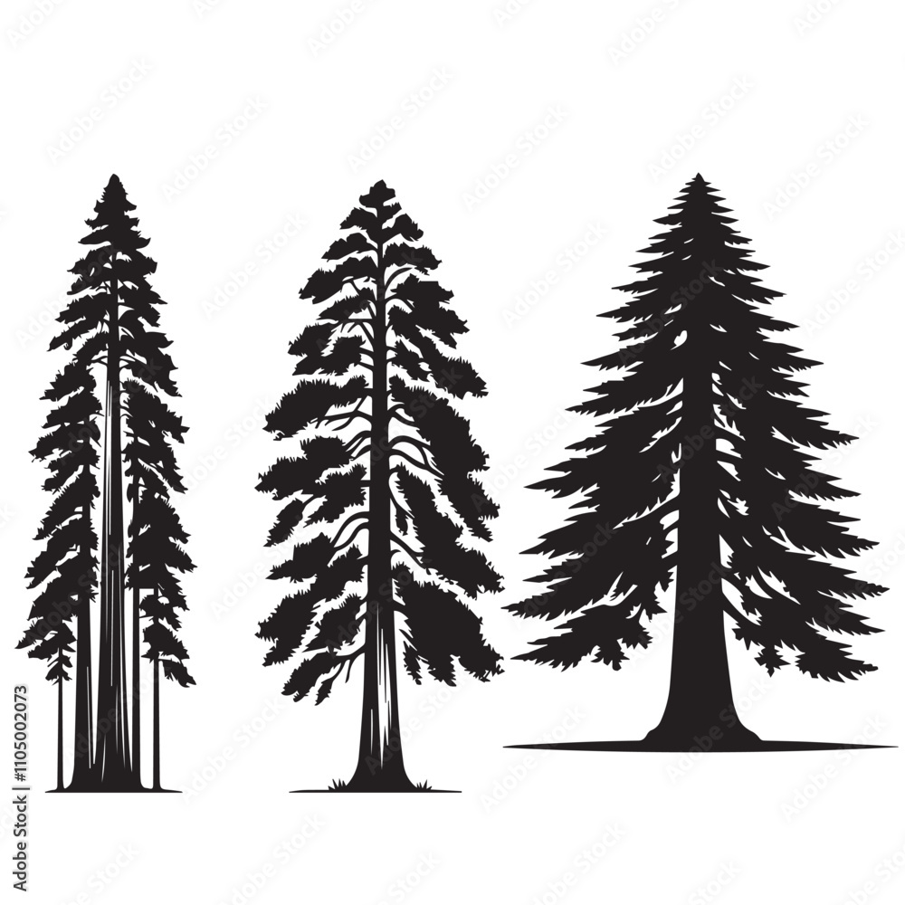 Obraz premium redwood tree silhouette set - redwood leaf vector -organic nature vector- tree silhouette - tree, nature botanical set - wood silhouette set